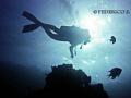   Divers... Divers  